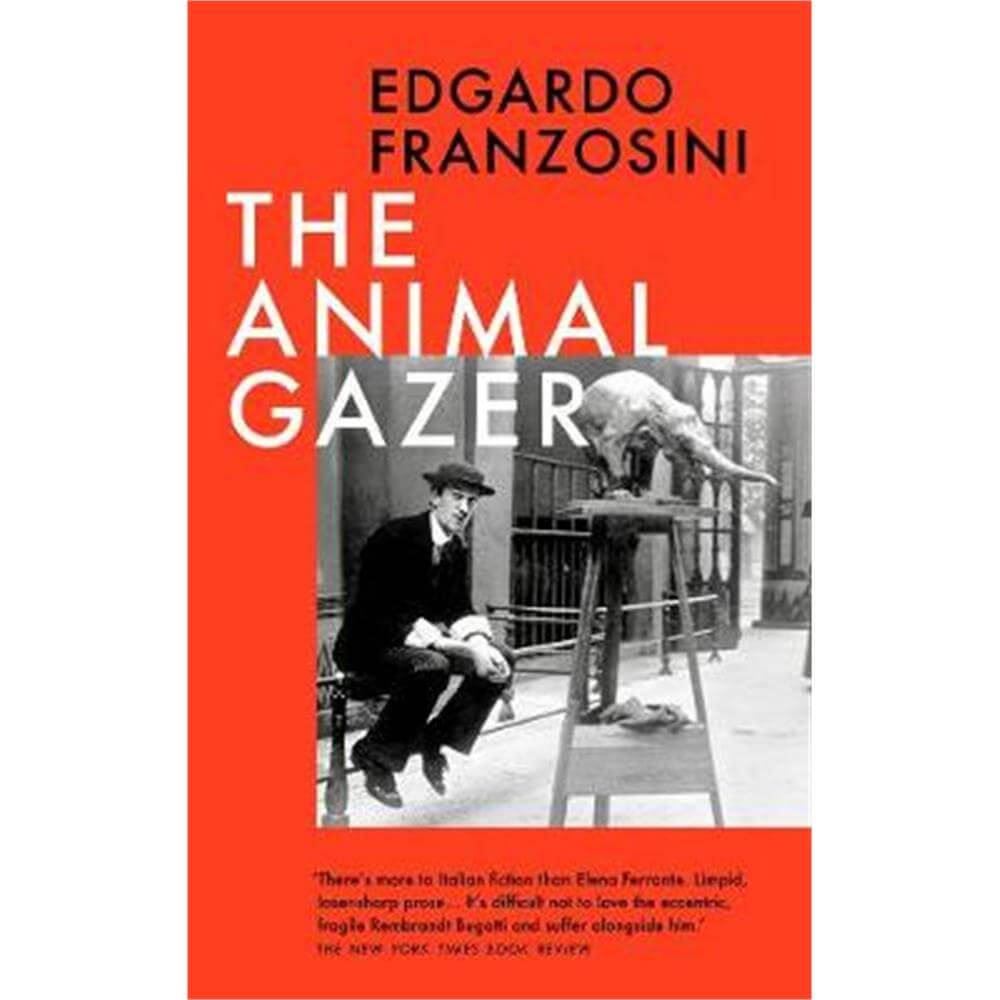 The Animal Gazer (Hardback) - P. Franzosini